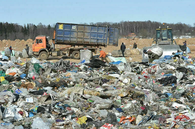 Мусорных операторов смогут назначать без конкурса