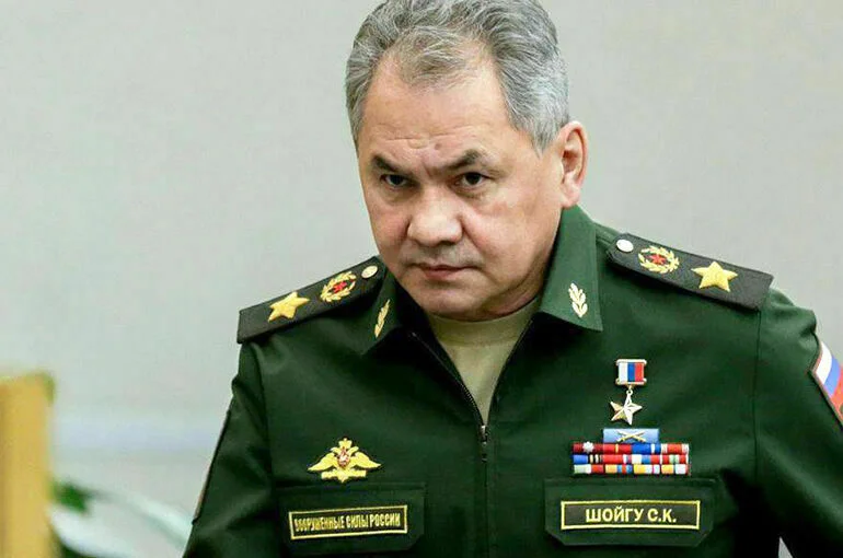Шойгу рассказал о неудачной попытке Украины захватить остров Змеиный перед 9 Мая