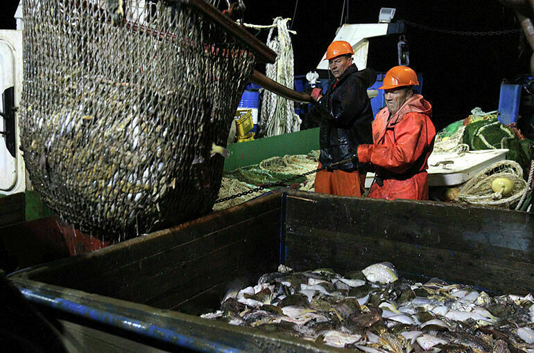 Срок инвестпроектов по строительству рыболовных судов продлили