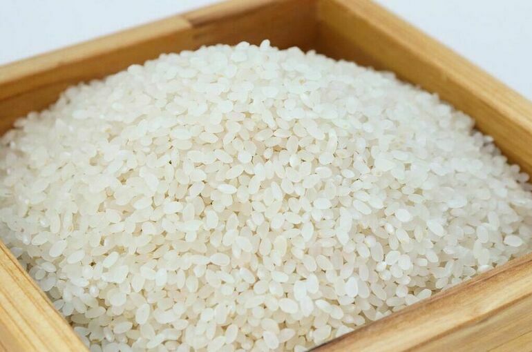 Минсельхоз предложил ввести временный запрет на вывоз риса из России