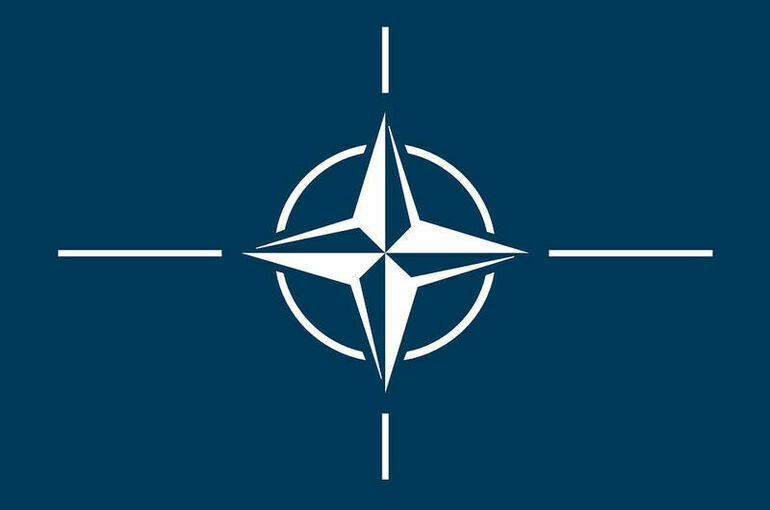 Эрдоган уличил Финляндию и Швецию в неискренности на переговорах по НАТО
