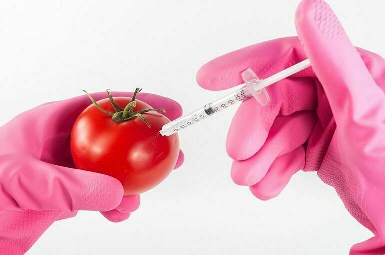 ГМО предложили разделить на вредные и полезные