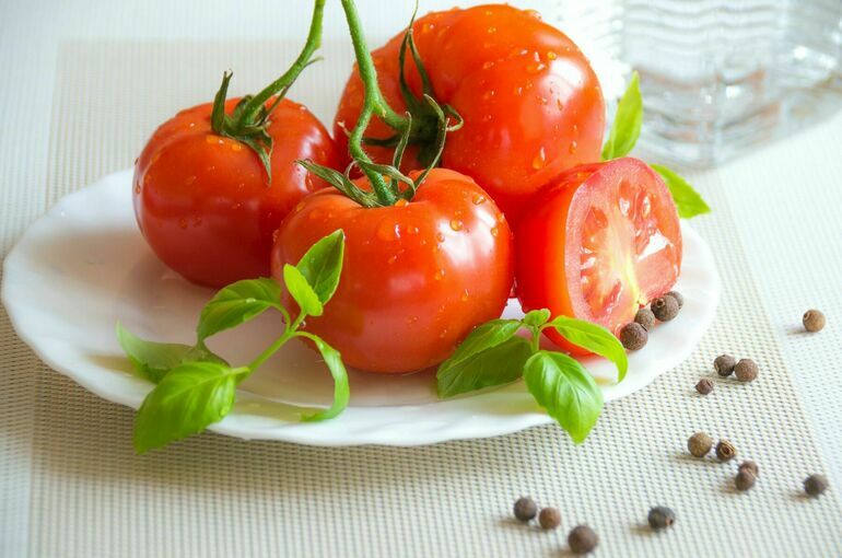 Россиянам объяснили, почему помидоры лучше не хранить в холодильнике
