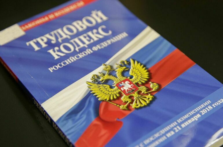 Новый законопроект о занятости внесут в осеннюю сессию Госдумы