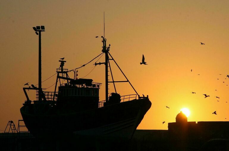 Токио проконсультируется с Москвой по остановленному соглашению о рыболовном промысле