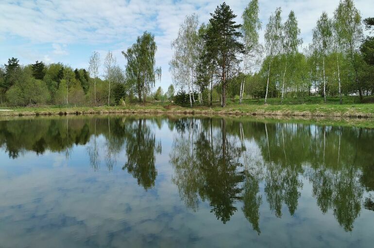 Минприроды собирается создать реестр источников питьевой воды до конца 2023 года