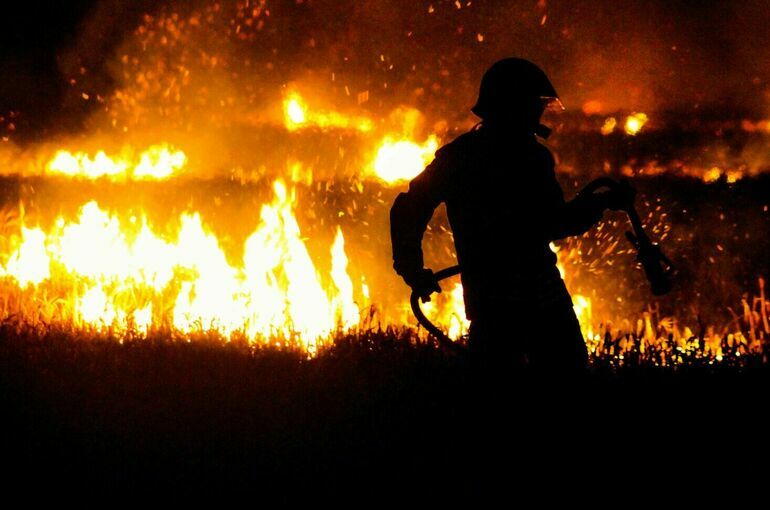 Статус волонтера хотят придать добровольцам-пожарным и спасателям