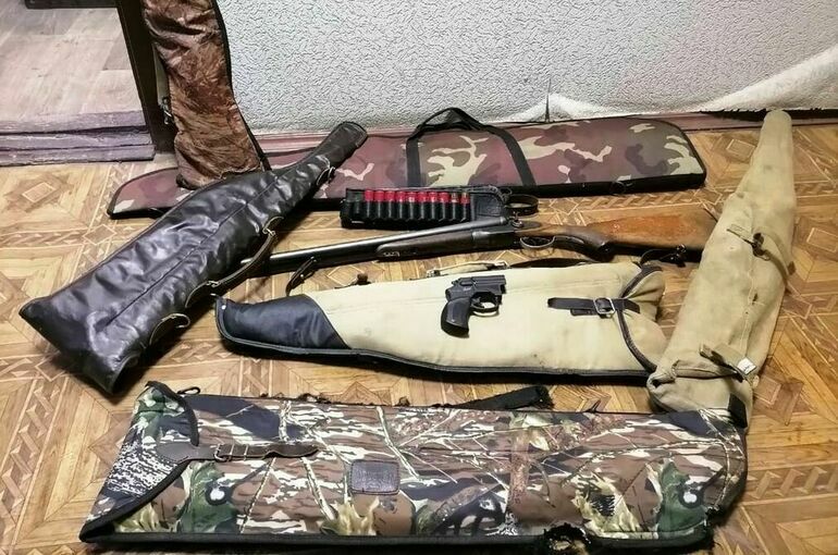 Кабмин хочет четко разделить полномочия МВД и Росгвардии в сфере изъятого оружия