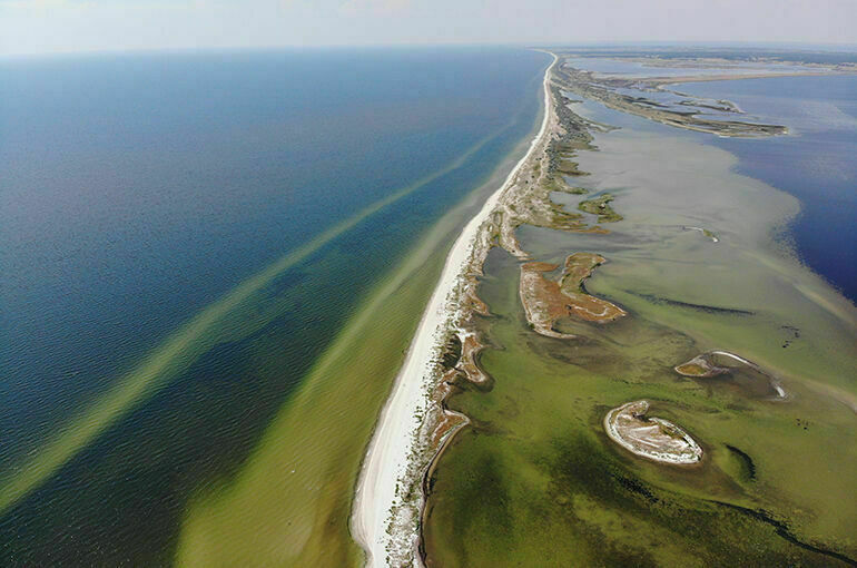 ВС РФ освободили район Кинбурнской косы в Николаевской области