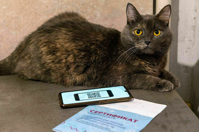 Минздрав дал новые рекомендации по прививкам от коронавируса