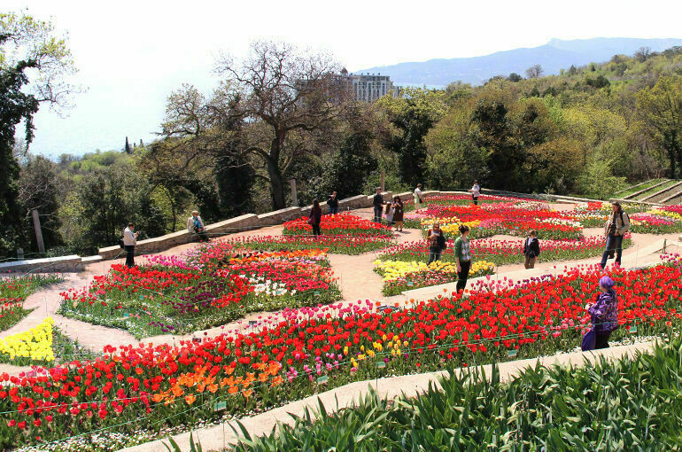 В Сирии открылось представительство Никитского ботанического сада
