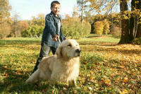 Кабмину рекомендовали подготовить правила маркировки и учета домашних животных
