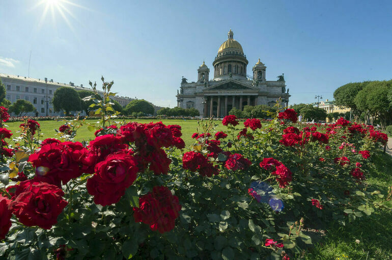 Погода в Петербурге может обновить температурный рекорд года
