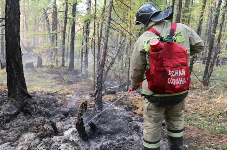 В Якутии из-за лесных пожаров объявили режим ЧС 