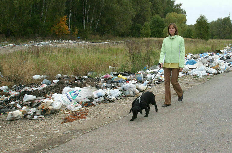 За сброс мусора из багажника или прицепа введут штрафы до 200 тысяч рублей