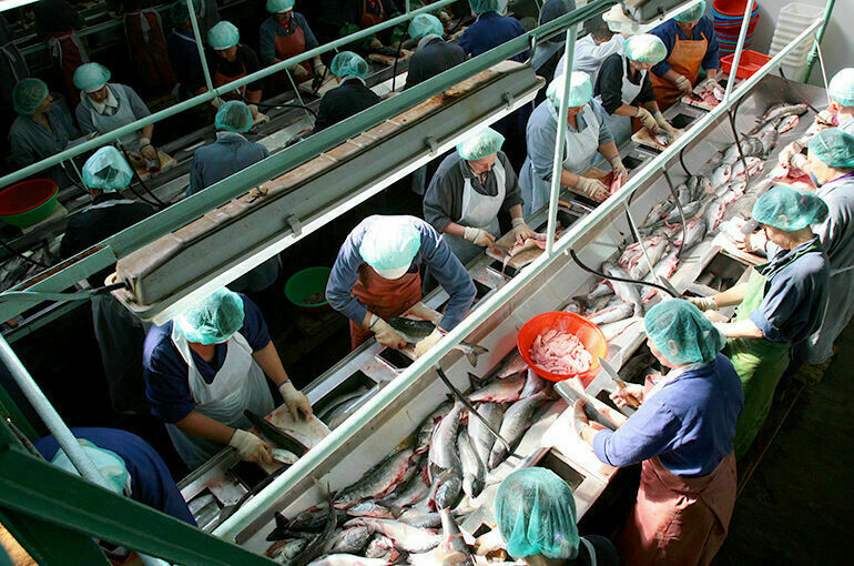 На развитие рыбохозяйственной отрасли предлагают предоставлять субсидии