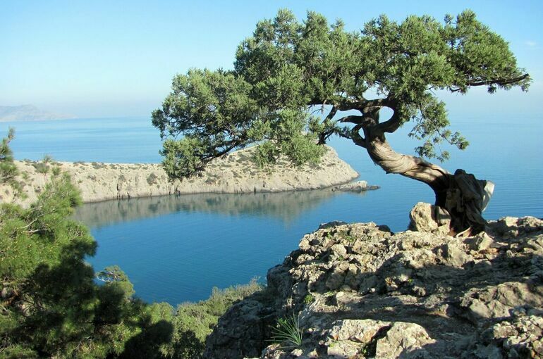 Крым будет сотрудничать с Витебской областью Белоруссии