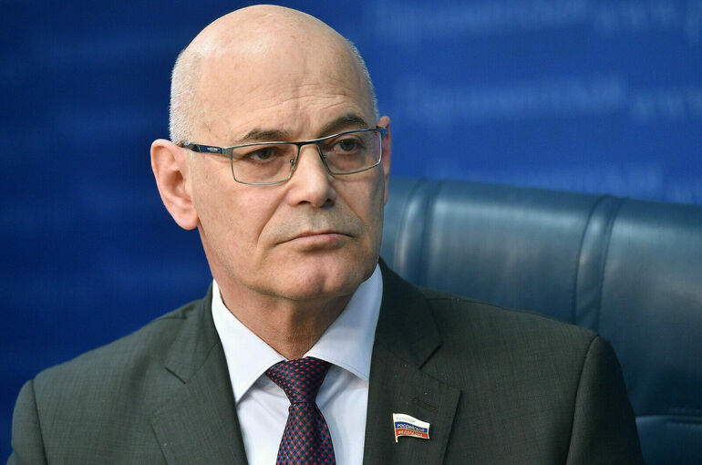 Сенатор Круглый: В России не будет серьезной вспышки оспы обезьян