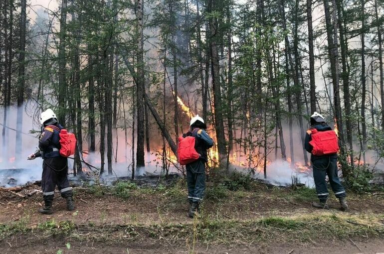 В Республике Саха за сутки потушили восемь лесных пожаров 
