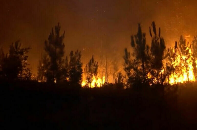 В Португалии ввели режим ЧС из-за пожаров в лесах