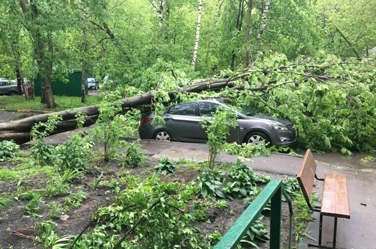 Кто ответит за поврежденный ураганом автомобиль