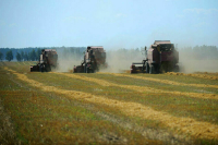 Оглоблина призвала принять меры, чтобы выпущенная в России сельхозтехника не уходила за рубеж