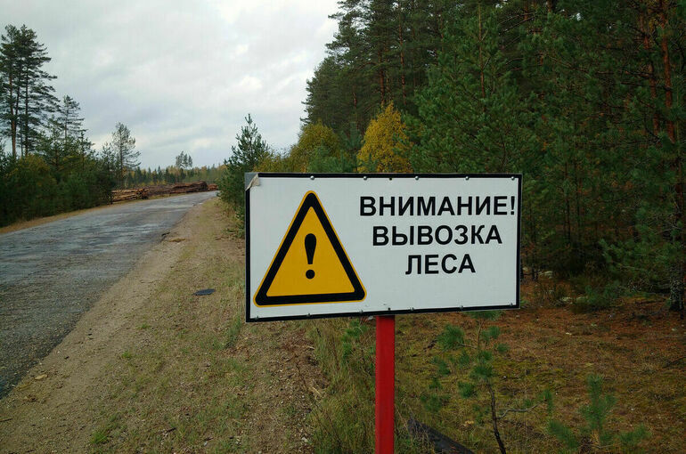 В России предложили создать центр координации институтов лесной промышленности