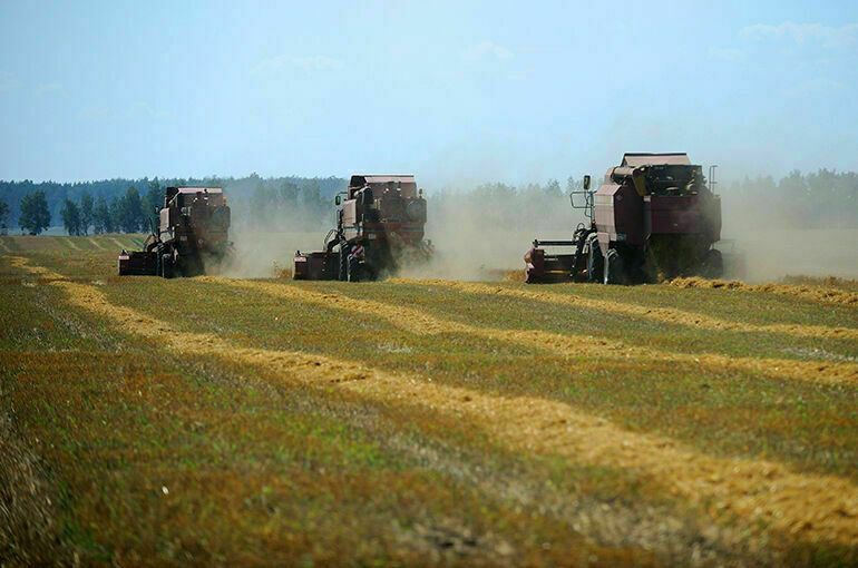 Херсонская область недополучит до 200 тысяч тонн зерна