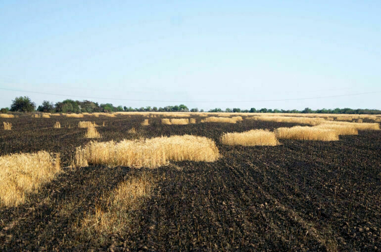 ВСУ ракетами подожгли пшеничные поля в Запорожской области