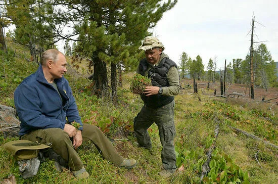 Владимир Путин и Сергей Шойгу