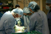 Минздрав получит дополнительные полномочия по вопросам трансплантации органов