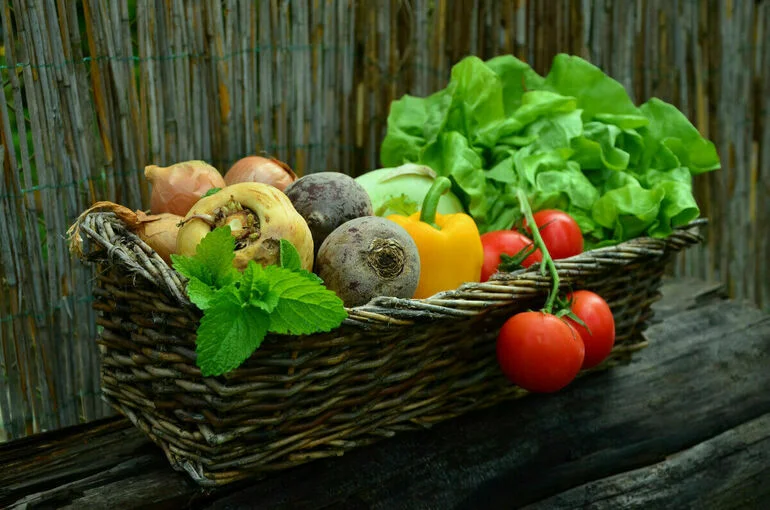 Вступает в силу частичный запрет на ввоз растительной продукции из Молдавии
