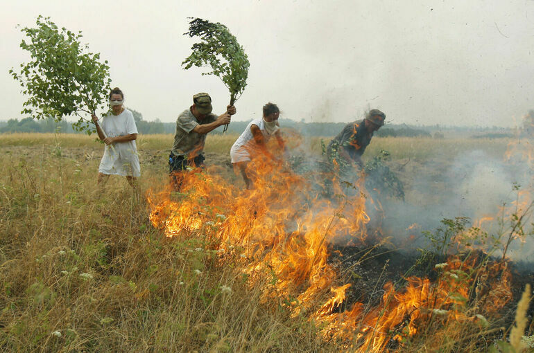 Виновникам лесных пожаров может грозить до четырех лет тюрьмы