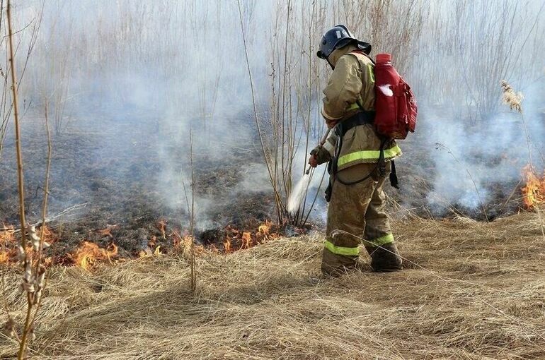 В Якутии ликвидировали шесть лесных пожаров