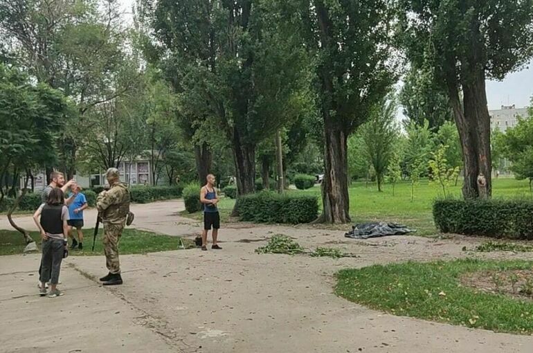 Мирный житель и его собака погибли после удара украинских войск по Энергодару