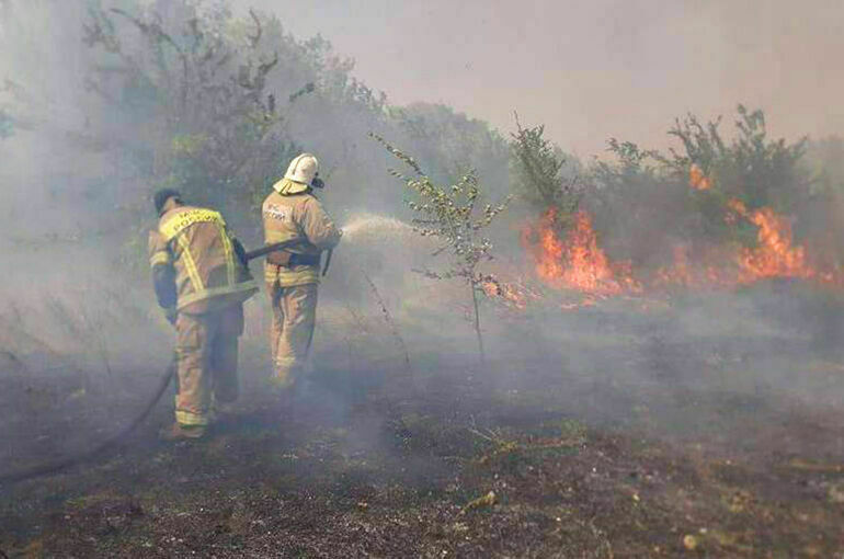 Площадь пожара в одной из станиц Ростовской области увеличилась до 136 га
