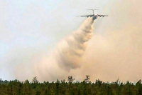 Локализованы четыре из пяти лесных пожаров в Рязанской области