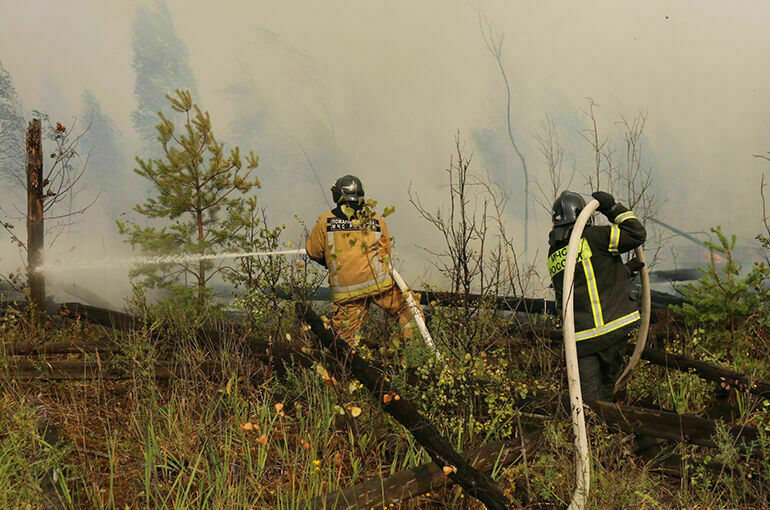 Синоптик назвал главные причины природных пожаров в России 