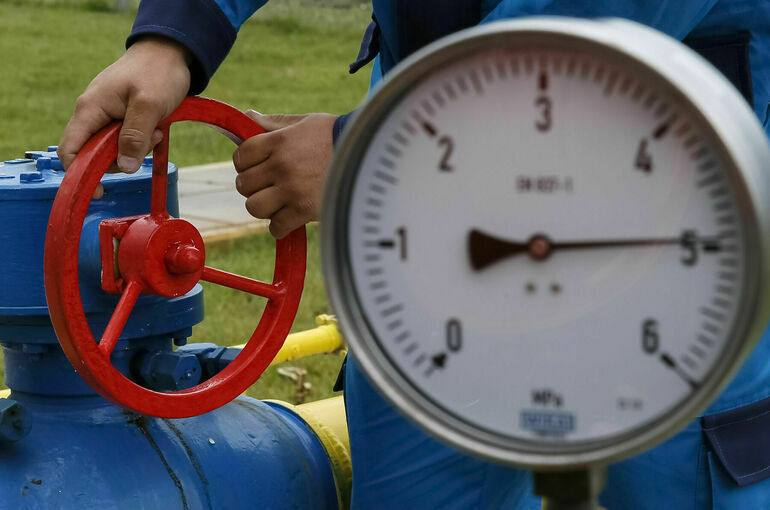 Экс-спикер Верховной рады призвал конфисковать транзитный российский газ