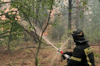 Пожары в Рязанской области тушат круглосуточно