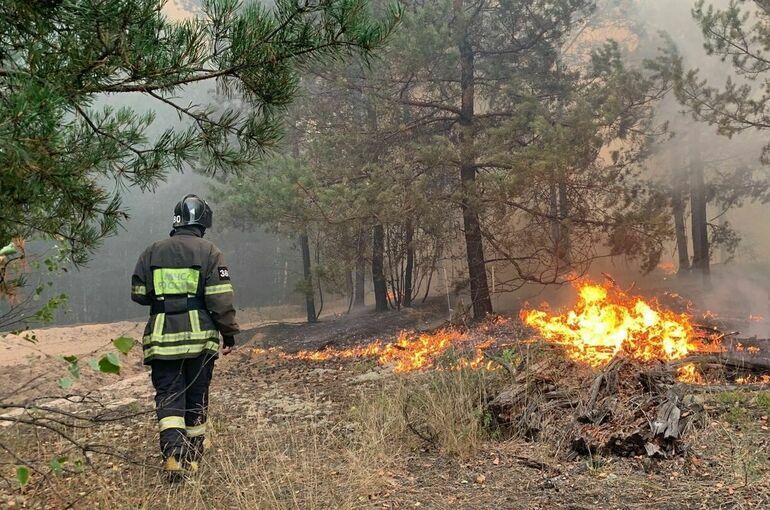 Путин поручил Мишустину посетить регионы с природными пожарами