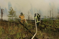 Пожар в Рязанской области двигается в сторону Подмосковья