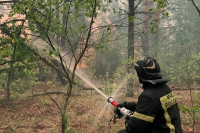 У МЧС есть данные о поджогах в лесах Рязанской области