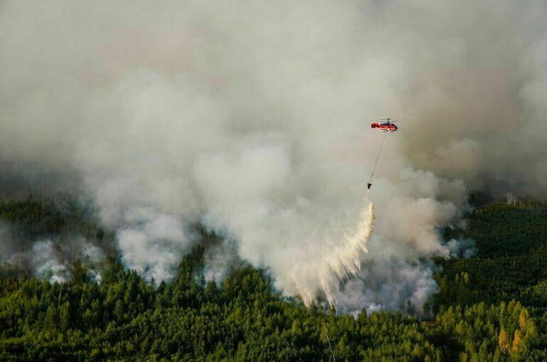 Эколог рассказала о влиянии смога на окружающую среду