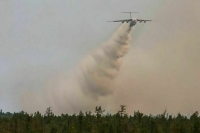 На севере Ростовской области пожар охватил более 200 гектаров леса