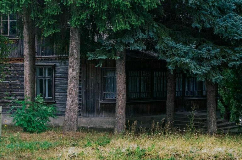 В России предлагают продлить срок «лесной амнистии»