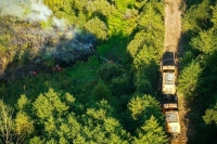 Площадь лесных пожаров в России за сутки сократилась на семь тысяч гектаров