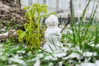 Синоптик спрогнозировал снег 1 сентября в европейской части России