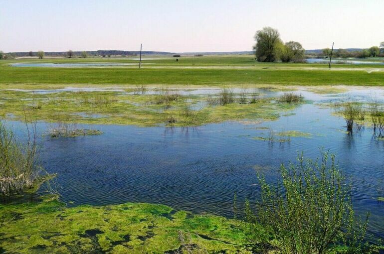 В районе Энергодара высадился украинский десант