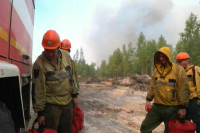В Рязанской области ликвидируют последствия лесных пожаров